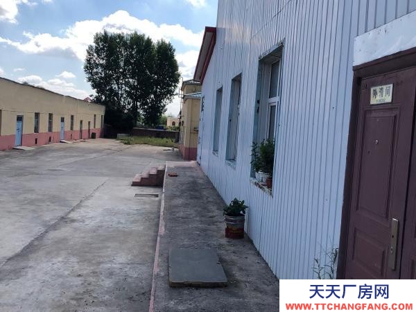 爱民厂房高5米左右在塑料厂院内