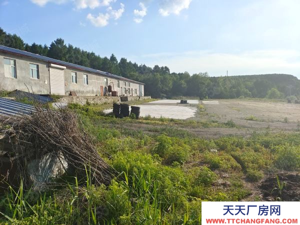 爱民区白酒厂房900平占地9450平 诚心卖
