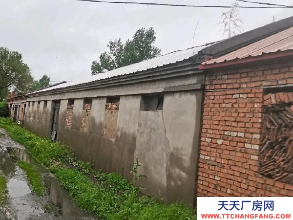 爱民环境好房屋300厂地1000平方米有动力电 豆制品加工厂房
