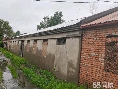 爱民环境好房屋300厂地1000平方米有动力电 豆制品加工厂房图1