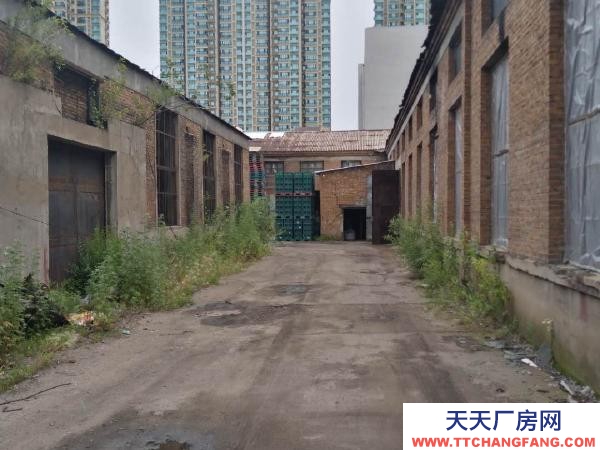 爱民 地段好，环境好，交通便利，市内为数不多预出售，纺织厂房