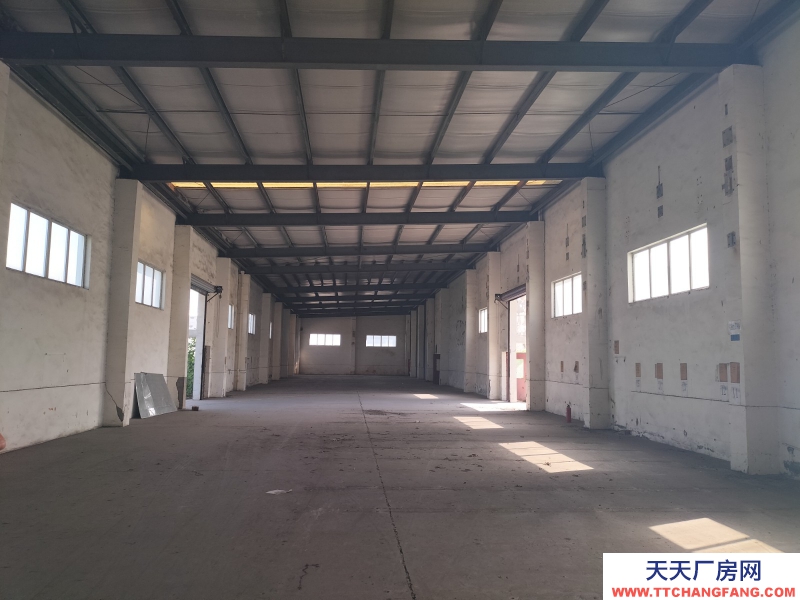 出租2000㎡单层钢构厂房 独门独院 配套办公宿舍 临国道高速