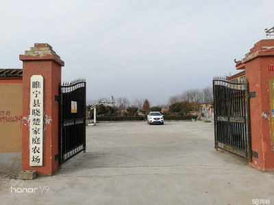 (出租) 徐州睢宁睢城街道吊桥社区梨园猪场适合养殖图2