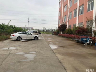 (出租) 徐州睢宁适合办公楼，直播间，仓库等图1