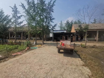 (出租) 徐州新沂时集高速出入口附近厂房出租适合机电加工图2