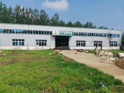 (出租) 徐州邳州四户镇马路旁标准厂房出租适合机械加工图4