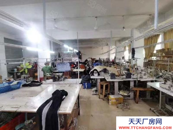 赣州市于都金制衣厂 于都工业园兴乐路厂房出租 可用于办公 培训工作室 交通便利