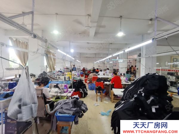 赣州市于都金制衣厂 于都工业园兴乐路厂房出租 可用于办公 培训工作室 交通便利