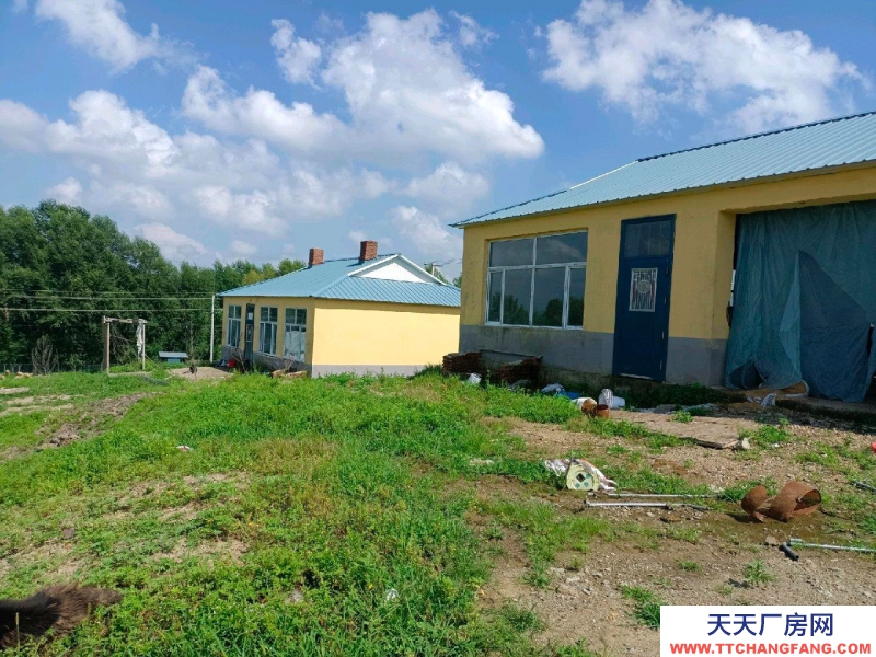 (出售)呼伦贝尔 养殖场出租出售，院内面积1.2万㎡，可养殖猪牛羊，