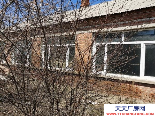 北林一万平米，500平厂房养殖厂房