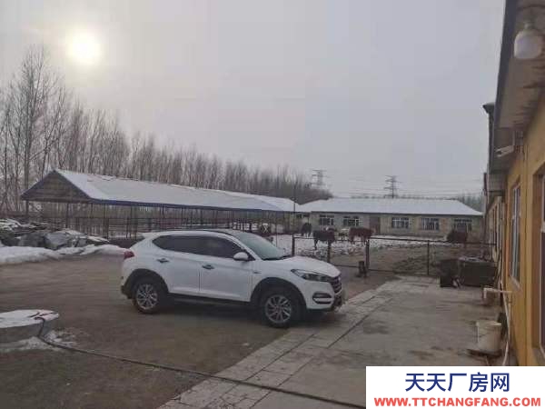 北林出租养殖场，交通便利，养殖的地段