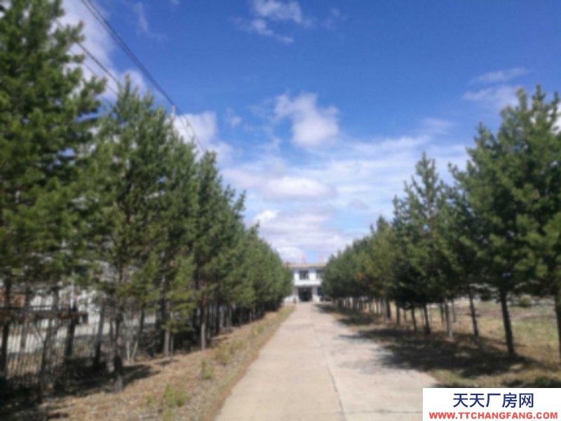 (出租) 出租出售根河市满归镇华茂大院