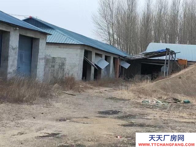 (出售) 阿荣旗出租出售，厂房6栋，住宅一栋，宿舍一栋
