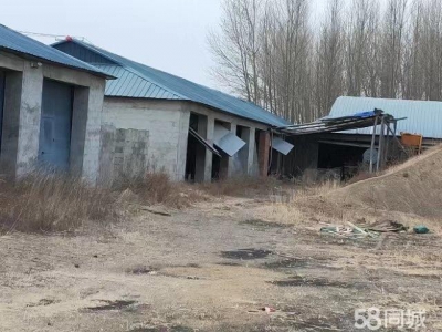 (出售) 阿荣旗出租出售，厂房6栋，住宅一栋，宿舍一栋图2