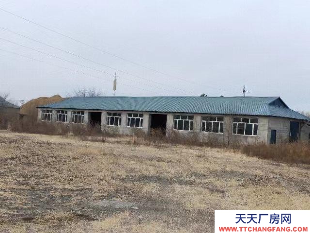 (出售) 阿荣旗出租出售，厂房6栋，住宅一栋，宿舍一栋