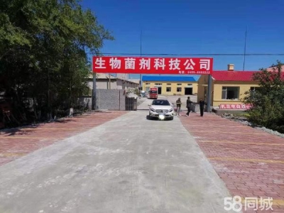 北林独门独院，配套齐全，自主性强，生物菌剂厂房图1