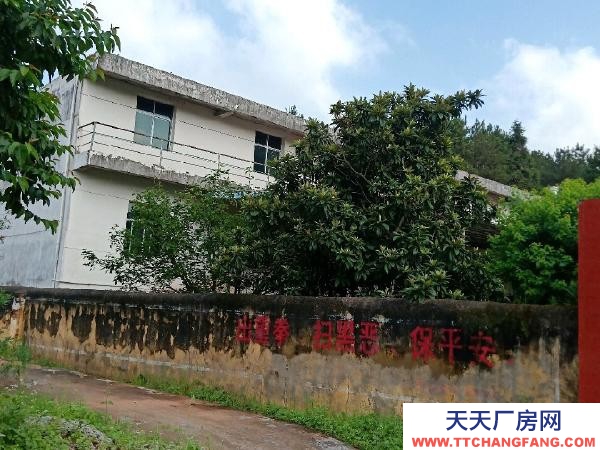 赣州市宁都机加工厂房 宁都石上镇池布村国道旁 厂房 占地5亩