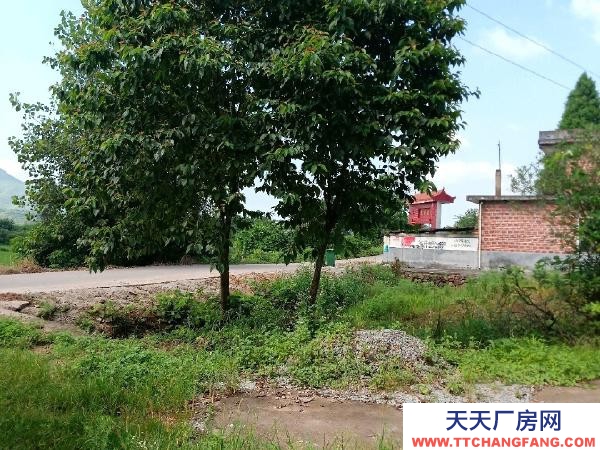赣州市宁都机加工厂房 宁都石上镇池布村国道旁 厂房 占地5亩