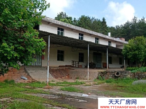 赣州市宁都机加工厂房 宁都石上镇池布村国道旁 厂房 占地5亩