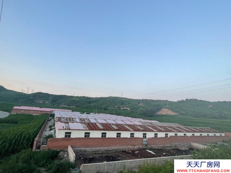 承德 滦平(出租) 猪养殖场 可租可售 证件齐全