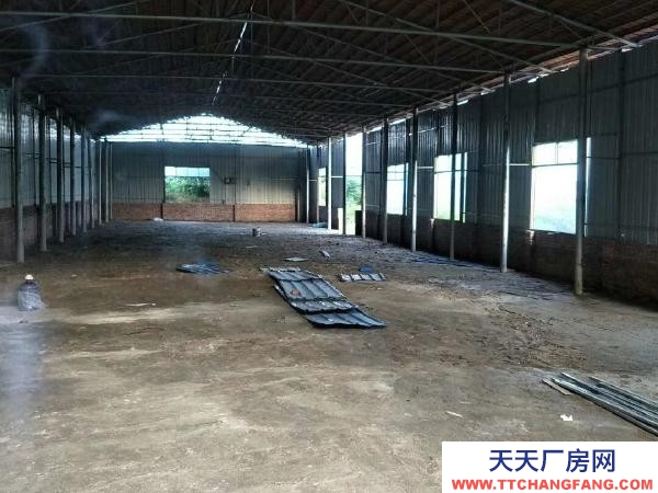 赣州市龙南物资仓库  大罗工业园勤业后背果园厂房仓库招租
