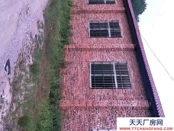 赣州市龙南物资仓库  大罗工业园勤业后背果园厂房仓库招租