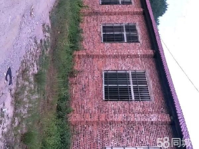 赣州市龙南物资仓库  大罗工业园勤业后背果园厂房仓库招租图2