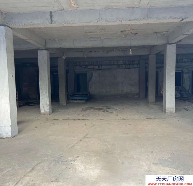 (出租) 徐州新沂仓库出租，交通便利物资仓库