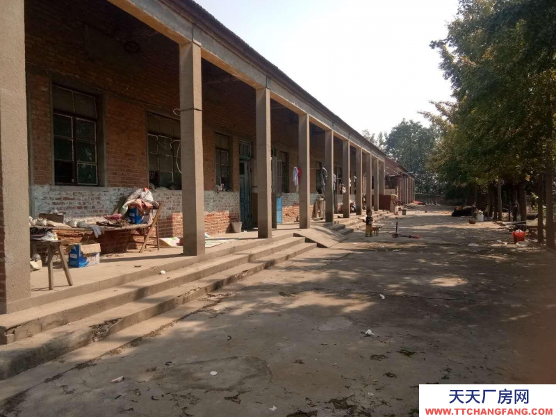 (出租) 徐州新沂27间大教室，原来的学校适合物资仓库
