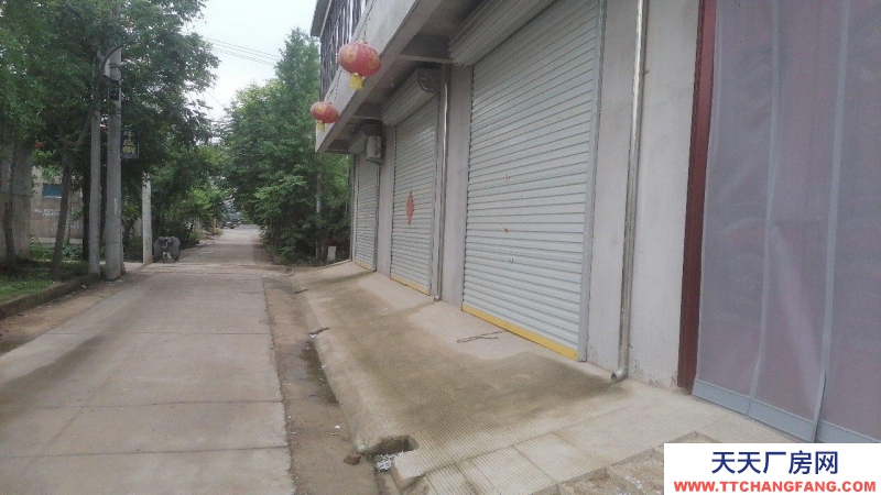 (出租) 徐州邳州250省道边！地理位置优越电商仓库