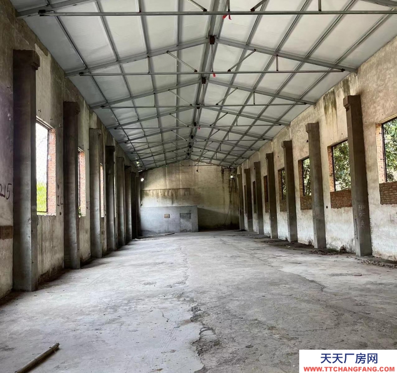 (出租) 徐州邳州房主自己厂房出租，价格面议适合物流仓库