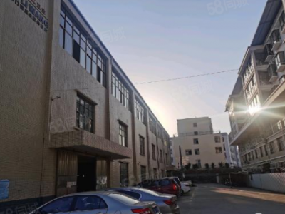 赣州市上犹糕点厂房 上犹县厂房出租 交通便利图4