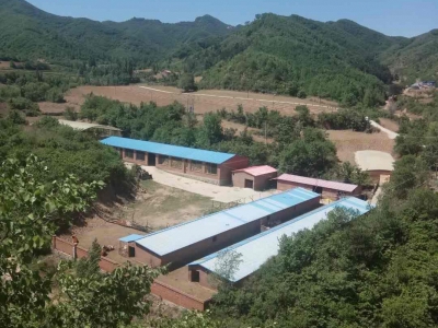 承德 隆化(出售) 隆化县养殖场出租出售 可以改造食品厂房图1