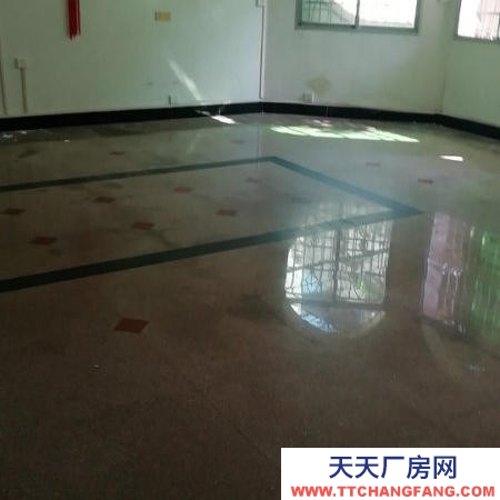 赣州市上犹机加工厂房 上犹县东山镇东门口整栋1-2层出租带前后大院