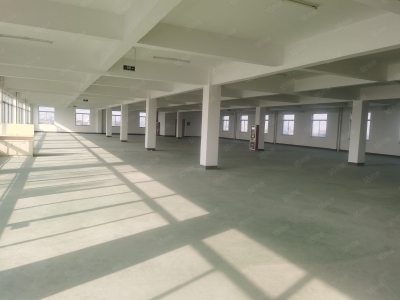 (出租) 南通海安开发区框架厂房带5吨货梯2层和3层出租适合纺织电子图1