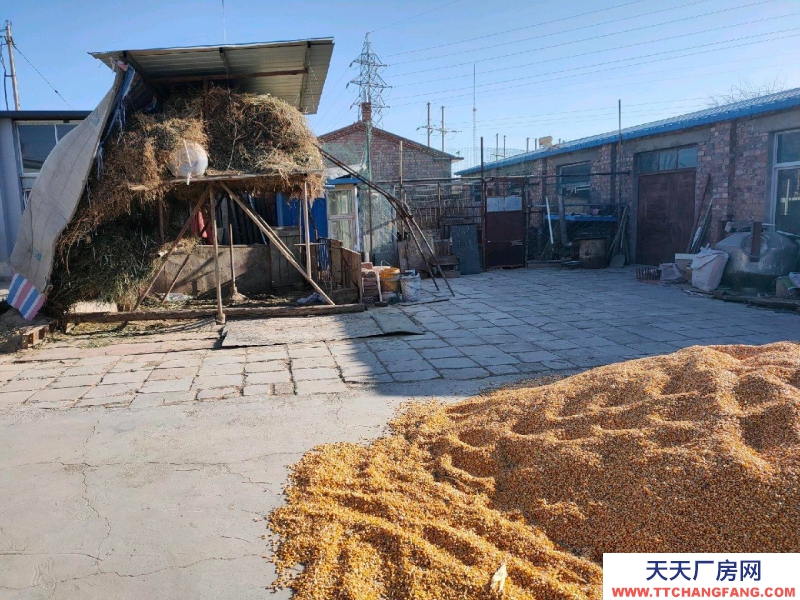 (出租) 巴彦淖尔 粮食食品仓库 紧邻站前大道，左邻右舍南，三间库房出租
