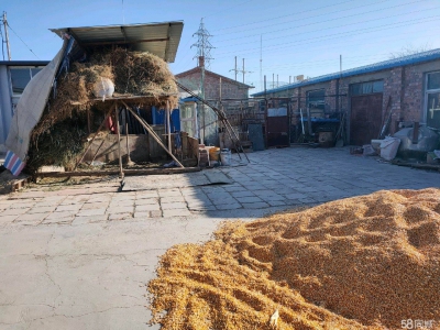 (出租) 巴彦淖尔 粮食食品仓库 紧邻站前大道，左邻右舍南，三间库房出租图3
