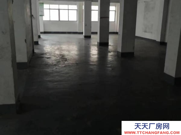 赣州市上犹机加工厂房  上犹县水南大道经商办厂底商出租