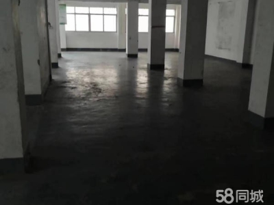 赣州市上犹机加工厂房  上犹县水南大道经商办厂底商出租图1
