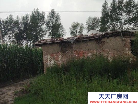兰西土地类型是可建厂，养殖，加工。
