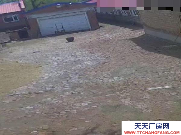 兰西肖天洞村现有猪场，设备齐全，