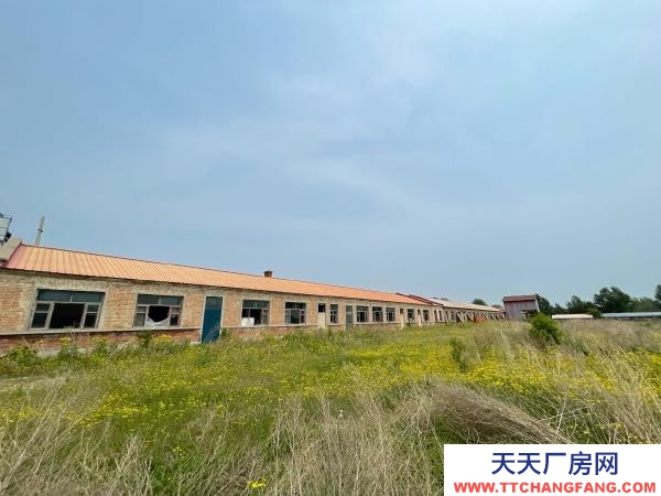 兰西榆林镇202国道50米处15000平电子厂房