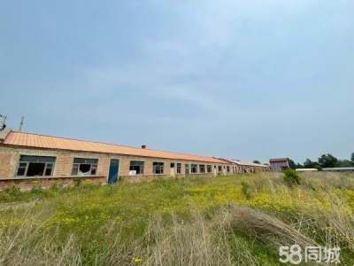 兰西榆林镇202国道50米处15000平电子厂房图1