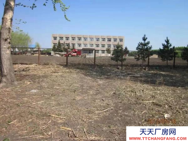 青岗1000平房大楼，7000平房土地 建材厂房