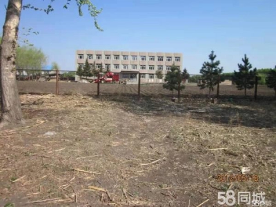 青岗1000平房大楼，7000平房土地 建材厂房图1