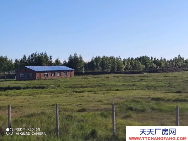 肇东可面议，场地空间大，有工业用电 养殖厂房