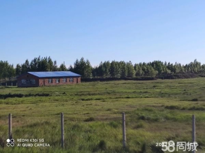 肇东可面议，场地空间大，有工业用电 养殖厂房图1