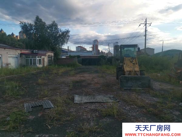 肇东厂房和院子出租，具体面议养殖厂房