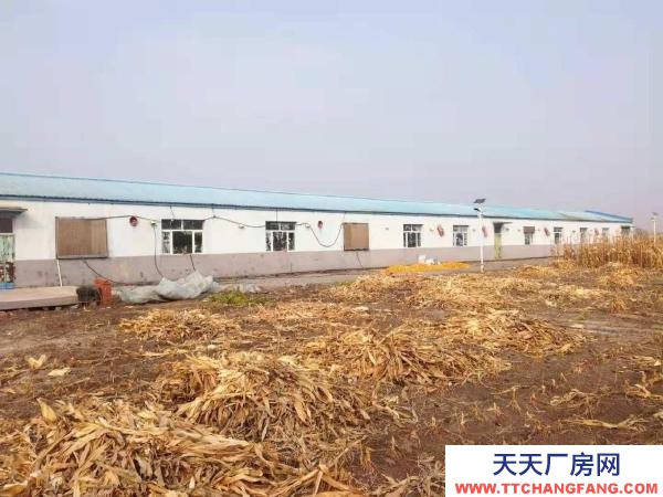 肇东市区南5公里万通驾校附近玉米加工厂房