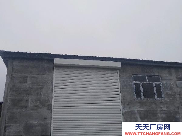 肇东铁东 仓库 诚心出租